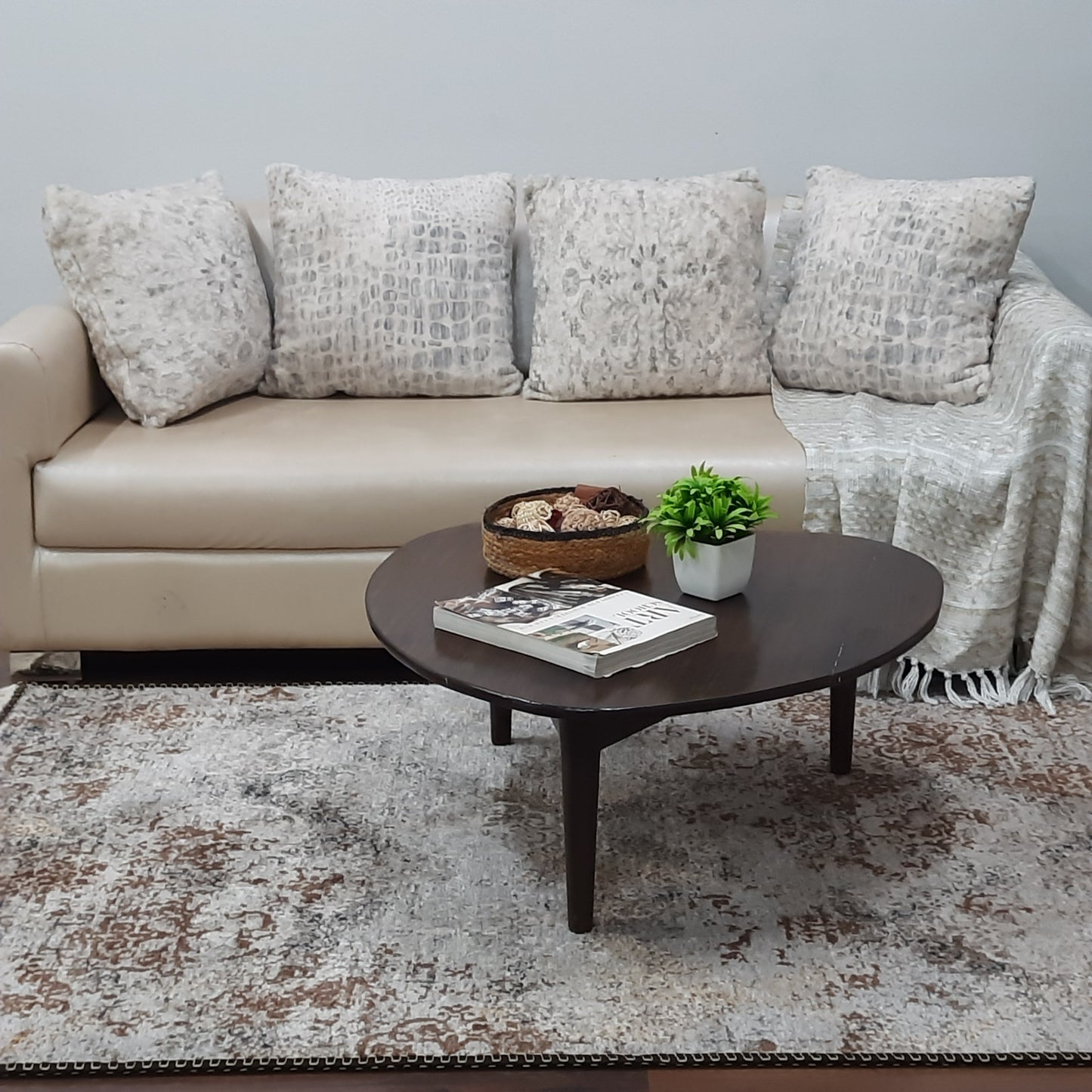 Avioni Faux Silk Carpet for a Stylish and Modern Living Room Abstract Vintage theme | Durable and Washable